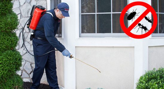 Karaisalı Böcek ve Haşere İlaçlama böcek ilaçlama ve haşere kontrolü — ilaclama-tr.com